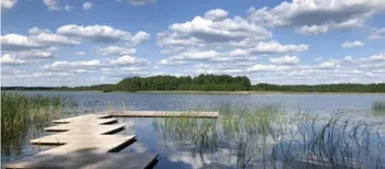 Серед Полісся причаїлось тихе мілководдя, де щороку народжуються нові життя (фото, відео)