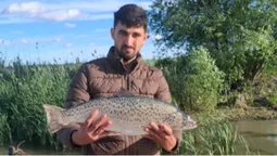 Майже не вивчений вид: у Дунаї виловили рідкісного червонокнижного лосося (фото)