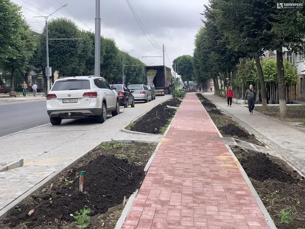 На проспекті Волі у Луцьку почали висаджувати дерева (фото)
