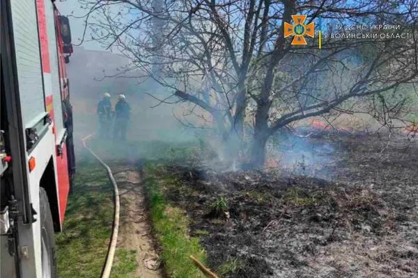 На Волині невідомі навмисно підпалили понад три гектари сухої трави (фото)