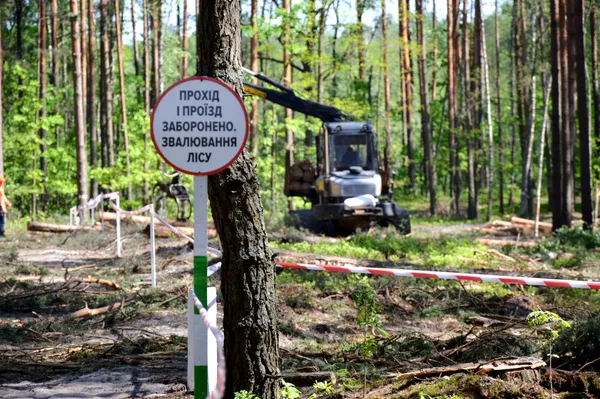 Волинська Швейцарія та селфі: лісівники провели майстер-клас із безпеки (фото)