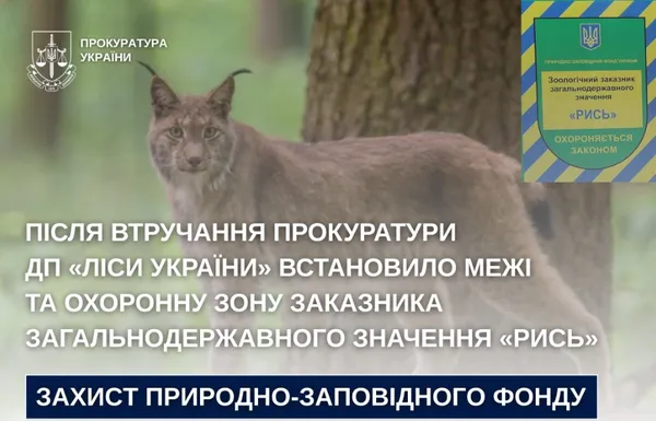 Волинські лісівники встановили охоронні межі задля збереження заказника «Рись»