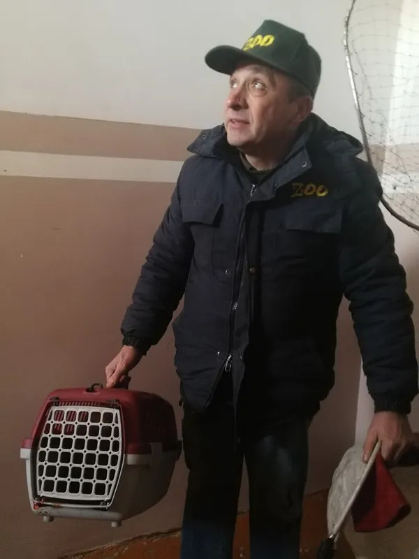 У луцький під’їзд забігла лисиця (фото)