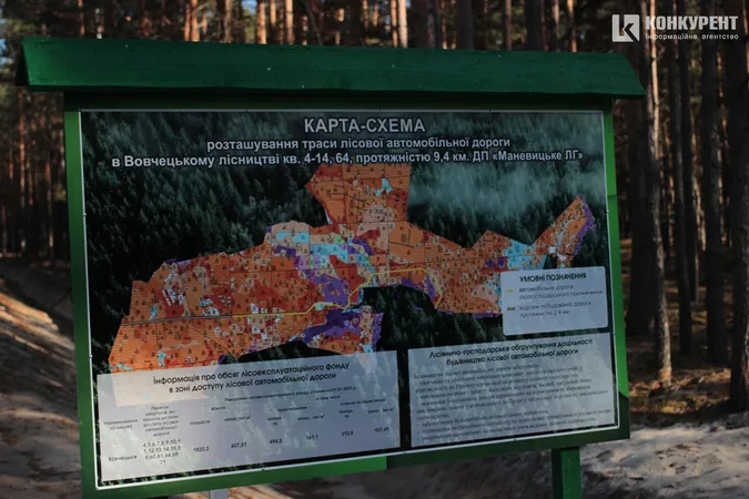 Показали, як на Волині будують лісові дороги (фото, відео)