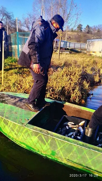 У Хрінницьке водосховище вселили майже тонну риби