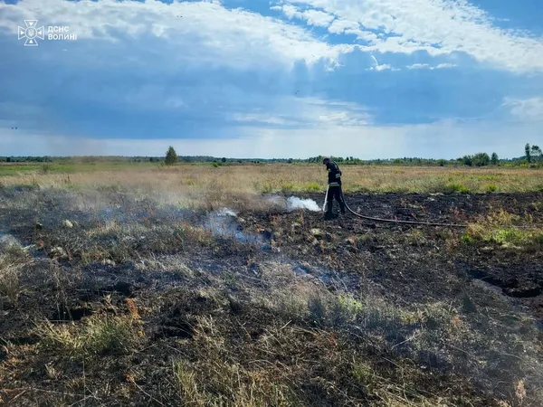 Вогонь охопив півтора гектара: на Волині горіли суха трава, чагарники та торф’яник (фото)