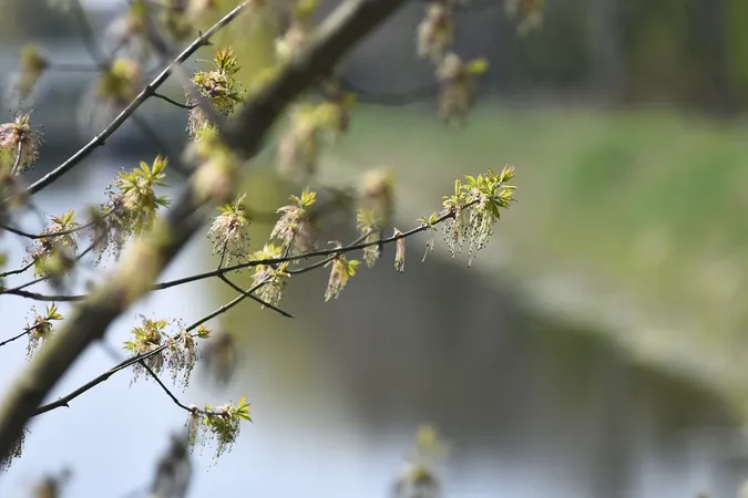 Весна у Луцькому зоопарку: показали чарівливі фото