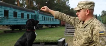Пройшов гарячі точки, а тепер підкорює кінологію: історія прикордонника з Волині Богдана та Вулі (фото)