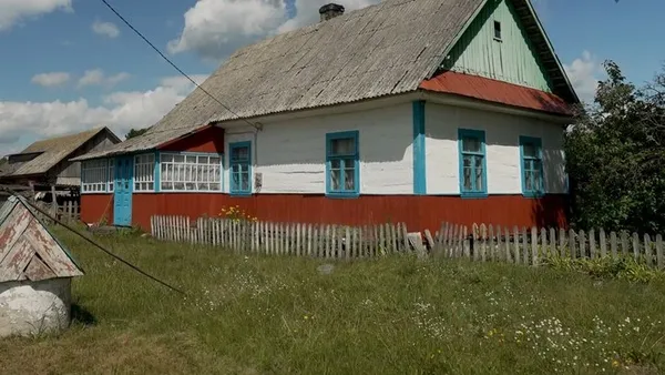 Сама рубає дрова у 86 років: як жителька поліського села дає собі раду у дерев'яній хаті (фото)