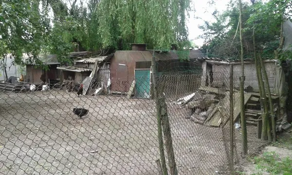 У луцькому парку демонтували... курники (фото)