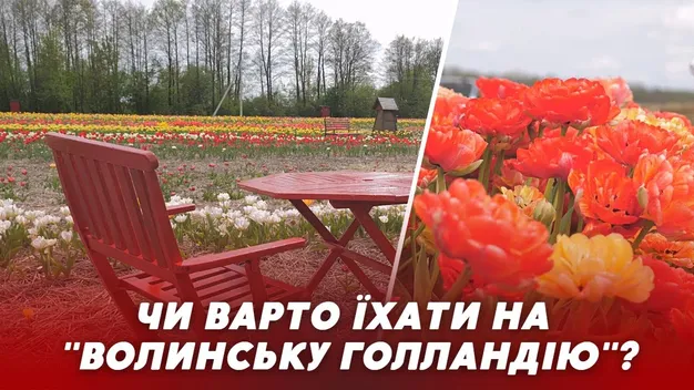 «Волинська Голландія» відкриється 4 травня: програма й ціни