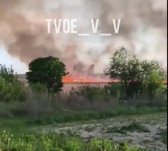 У Володимирі загорівся очерет (відео)