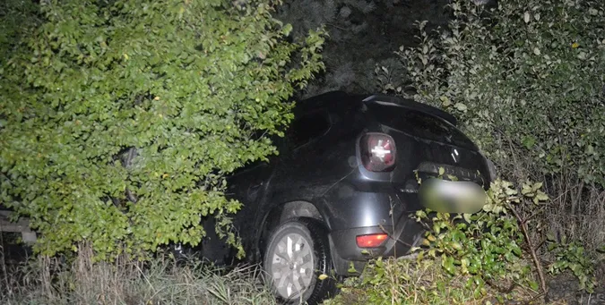Авто влетіло в кущі: у Ковелі зіткнулися Kia та Renault (фото)