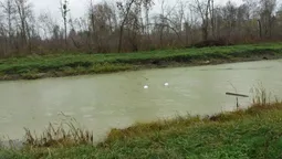У Луцьку вандали скинули у канави смітники і плафони ліхтарів (фото)