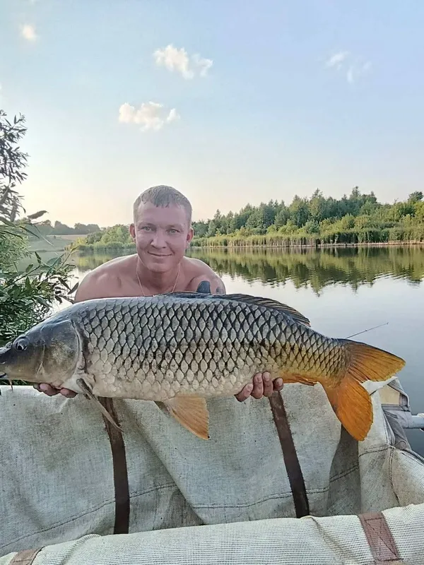 На Рівненщині рибалка витягнув з водойми гігантського коропа (фото)