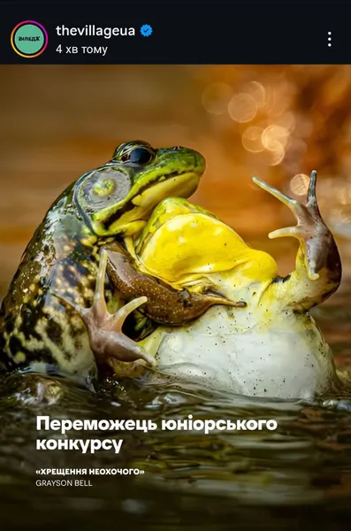 Показали найкумедніші фото тварин 2025 року