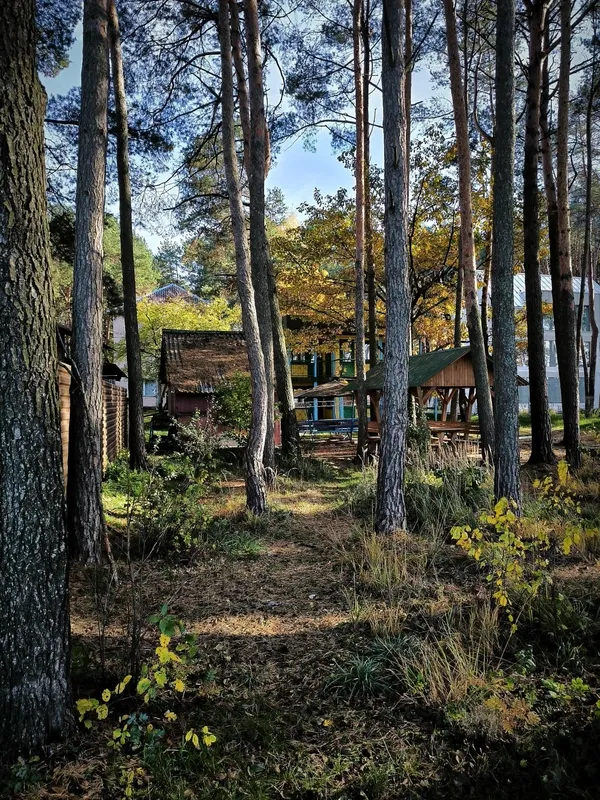 Осінній спокій озера Пісочне у Ковельському районі (фото)