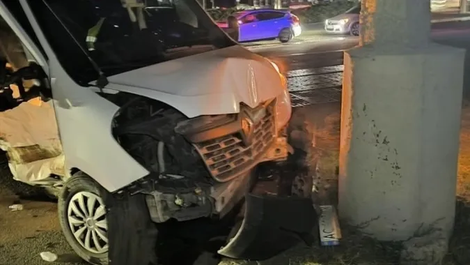 Автівка з Волині перевозила заморожених мертвих собак і потрапила в ДТП