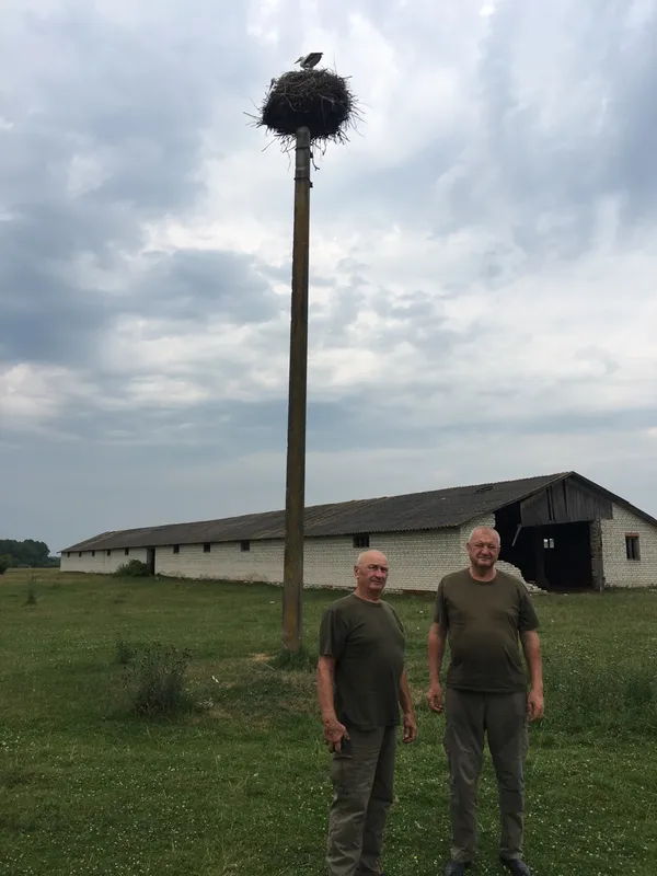 У Цуманській пущі рахували великих і маленьких лелек (фото)