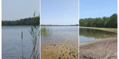 Повз зарослу «Кукушку» до таємничих озер: волинянка показала дикий рай Полісся (відео)
