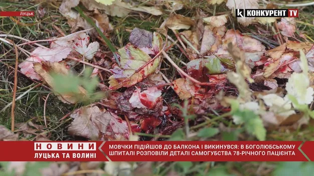 Мовчки відчинив вікно і стрибнув: все, що відомо про самогубство у лікарні під Луцьком (фото 18+, відео)
