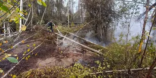 🔥 Майже 6 годин боротьби з вогнем: на Ковельщині горів торф (фото)