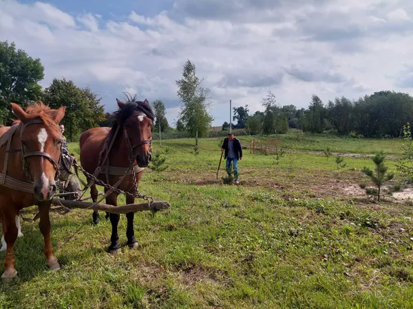 У Хорлупах на місці закинутого складу заклали новий сквер (фото)