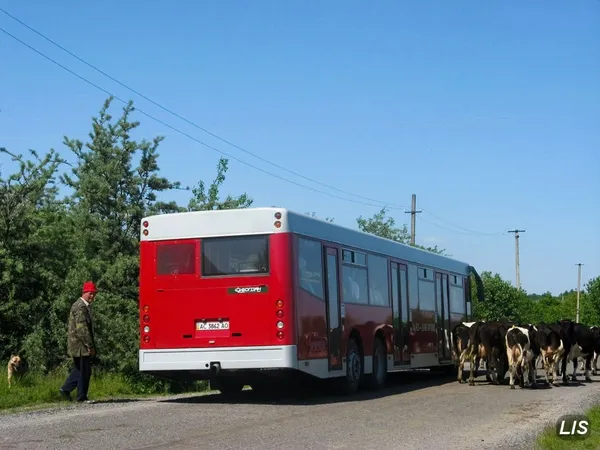 Луцьком курсували 15-метрові «Богдани»: куди поділися (фото)