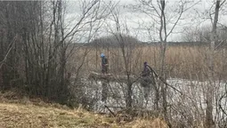 Залучили водолазів: на Камінь-Каширщині другий день шукають зниклу 17-річну дівчину (фото)