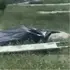 У Луцьку біля багатоповерхівок виявили тіло чоловіка (відео)