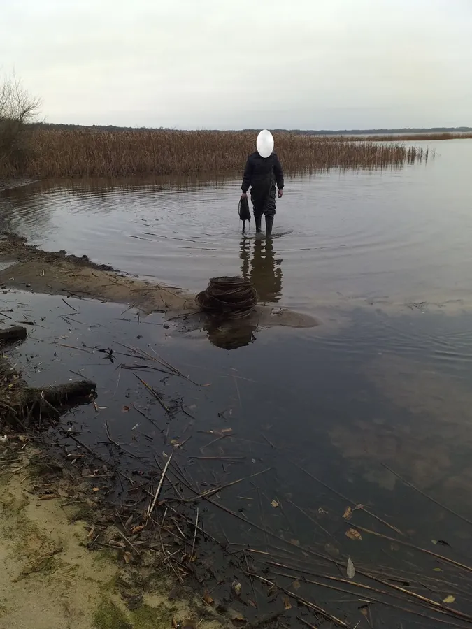 Волиняни підуть під суд за те, що ловили рибу сітками