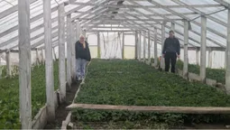 На Волині родина в теплицях вирощує понад 200 видів рослин (відео)