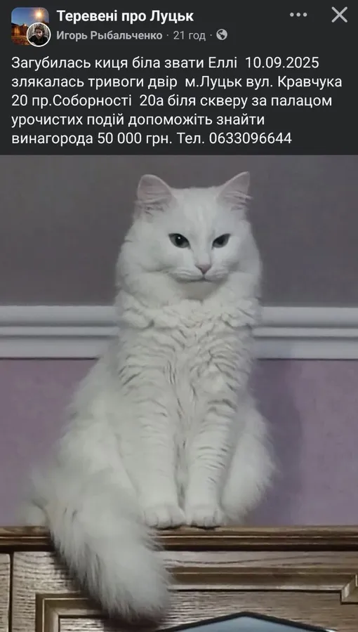 Скриншот оголошення