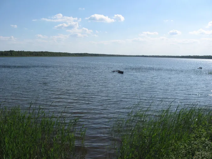 Цілющий мул і багато риби: на півночі Волині заховалося одне з найменш людних озер