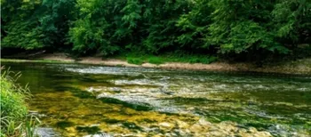 Річки Полісся катастрофічно міліють: уже видно кам'яні пороги на дні (фото)