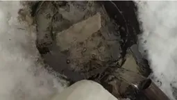 В унікальних Оконських джерел на Волині знову б'є вода (відео)