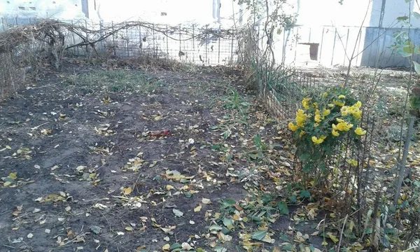 Муніципали зносять паркани у луцьких дворах (фото)