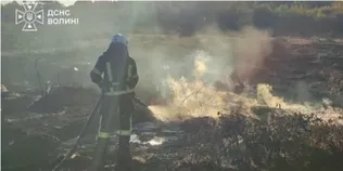 На Волині загорівся торф: пожежа охопила 4 гектари (фото)
