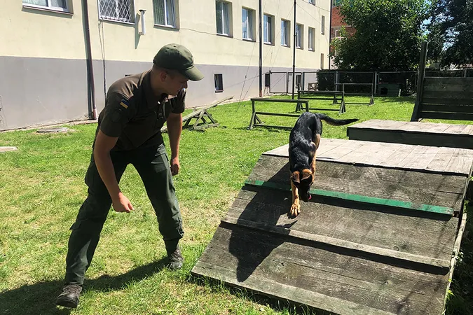 Як волинські гвардійці з грайливих щенят виховують службових псів (фото)