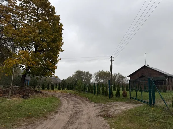 Магазин раз на тиждень і менше десятка жителів: чим село у серці Полісся приваблює туристів (фото)