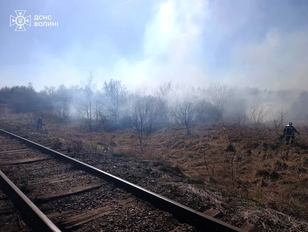 Вогонь підходив до будинків і доріг: на Волині за два дні вигоріло понад 30 га трави і чагарників (фото)