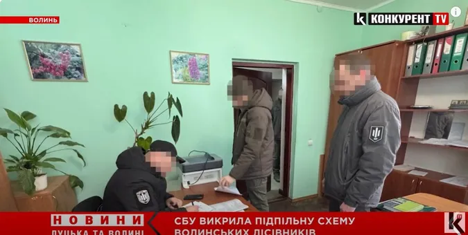 Хотіли вирубати понад 300 здорових сосен: на Волині судитимуть лісівників-шахраїв (відео)