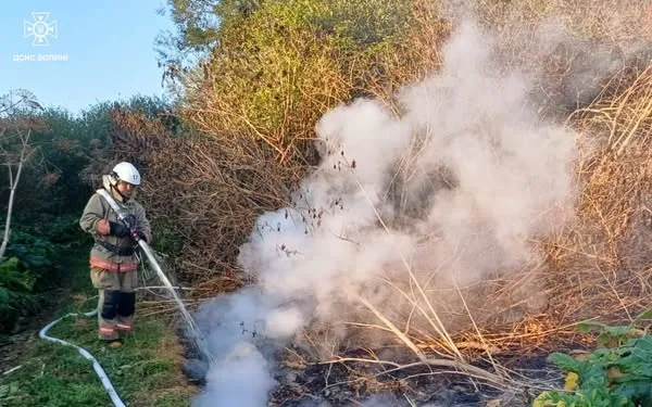 Горіли суха трава, чагарники, торф: на Волині загасили сім пожеж (фото)