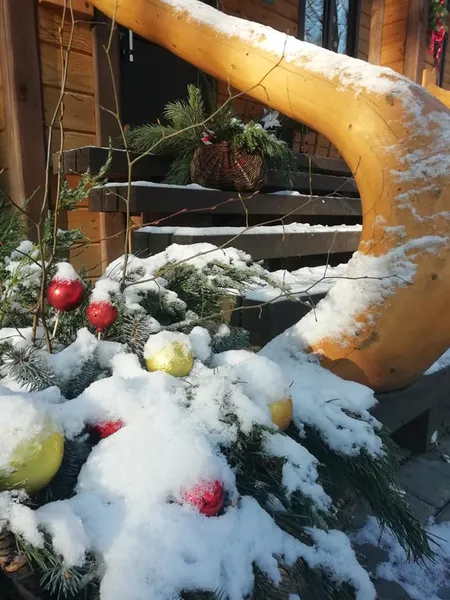 Показали казкову зиму у воротнівському лісі (фото)