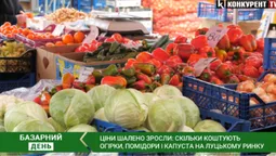 Ціни оскаженіли: скільки коштують огірки та помідори на ринку у Луцьку (відео)