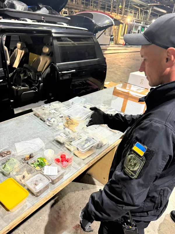 Павуки, плазуни й комахи у багажнику: з Німеччини до Чернівців везли екзотичний «зоопарк» (фото)