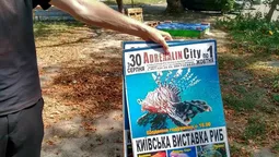 Муніципали очистили Луцьк від незаконної реклами (фото)