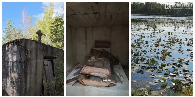 У лісах Полісся знайшли відкритий склеп відомої цілительки (фото, відео)