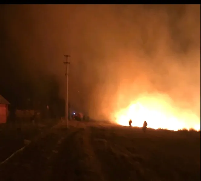 Палало кладовище: на Волині вирують жахливі пожежі (фото)