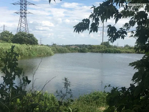 Такий вигляд має нормальне поле фільтрації відходів Гнідавського цукрового заводу